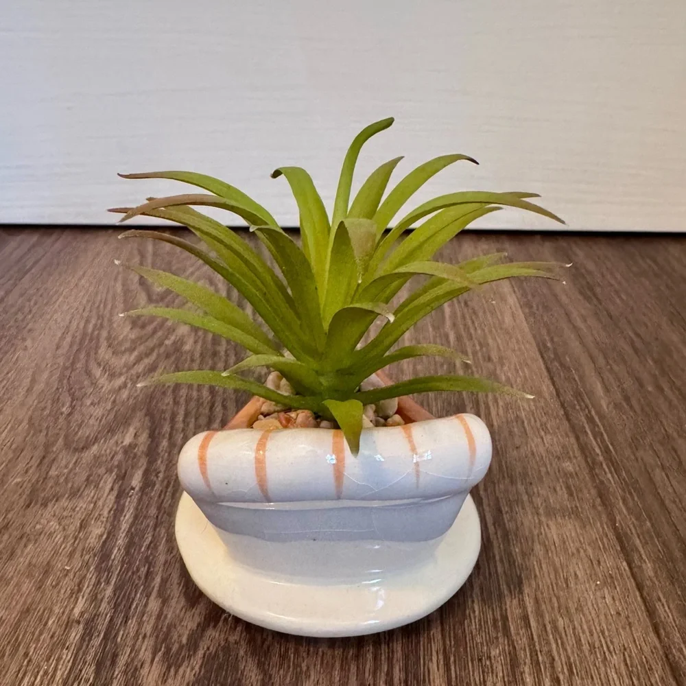Fall Thanksgiving Pumpkin Pie Ceramic Planter with Green Succulent